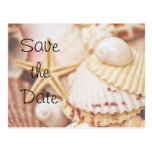 Sauvez la carte postale de coquillage de date
