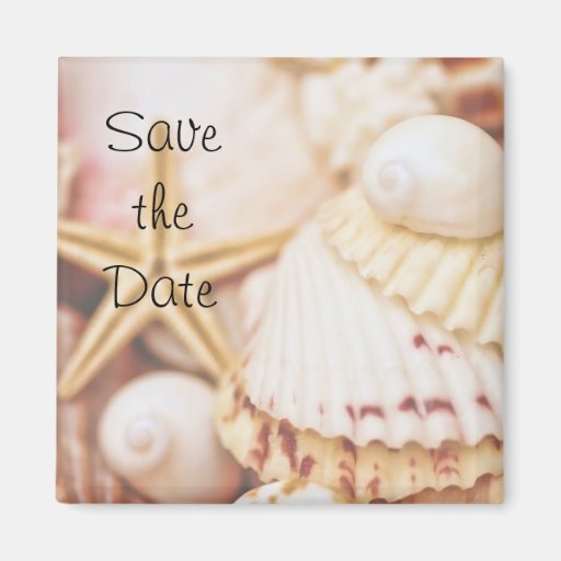 Sauvez l'aimant de coquillage de date