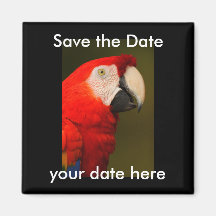 Sauvez l'aimant de date