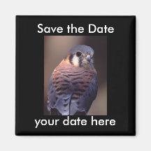 Sauvez l'aimant de date