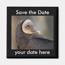 Sauvez l'aimant de date