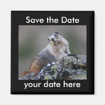 Sauvez l'aimant de date