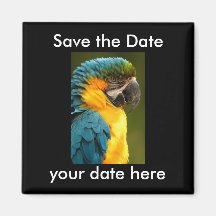 Sauvez l'aimant de date