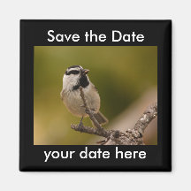 Sauvez l'aimant de date