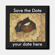 Sauvez l'aimant de date