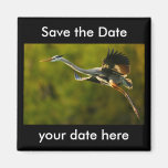 Sauvez l'aimant de date