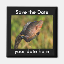 Sauvez l'aimant de date