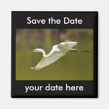 Sauvez l'aimant de date