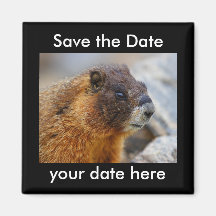 Sauvez l'aimant de date
