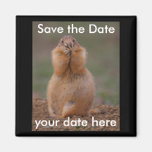 Sauvez l'aimant de date