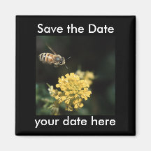 Sauvez l'aimant de date