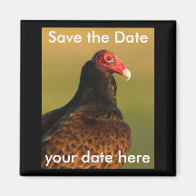 Sauvez l'aimant de date
