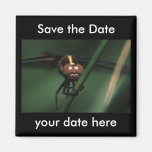 Sauvez l'aimant de date