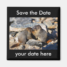 Sauvez l'aimant de date