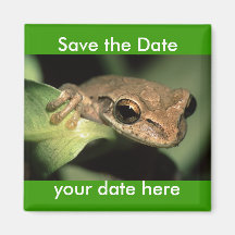 Sauvez l'aimant de date