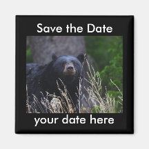 Sauvez l'aimant de date