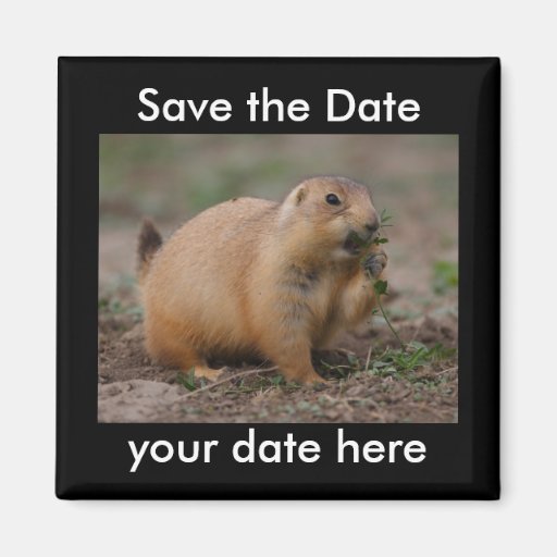 Sauvez l'aimant de date