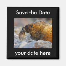 Sauvez l'aimant de date