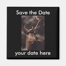 Sauvez l'aimant de date
