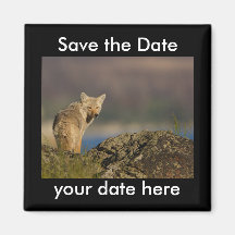 Sauvez l'aimant de date