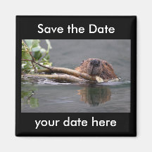 Sauvez l'aimant de date