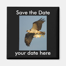 Sauvez l'aimant de date