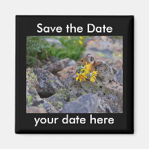 Sauvez l'aimant de date