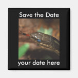 Sauvez l'aimant de date
