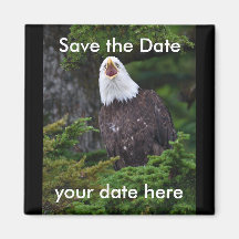 Sauvez l'aimant de date