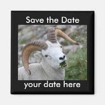 Sauvez l'aimant de date