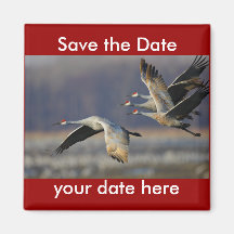 Sauvez l'aimant de date