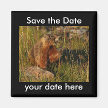 Sauvez l'aimant de date