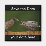 Sauvez l'aimant de date