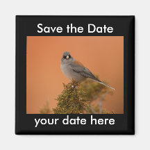 Sauvez l'aimant de date