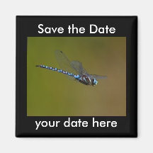 Sauvez l'aimant de date
