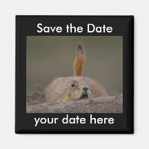 Sauvez l'aimant de date