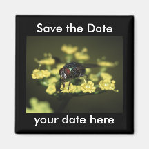 Sauvez l'aimant de date