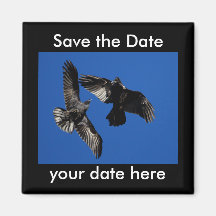 Sauvez l'aimant de date