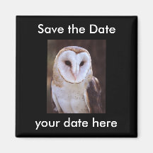 Sauvez l'aimant de date
