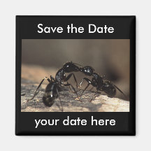 Sauvez l'aimant de date