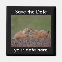 Sauvez l'aimant de date