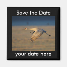 Sauvez l'aimant de date
