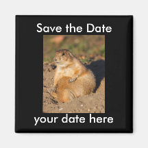Sauvez l'aimant de date