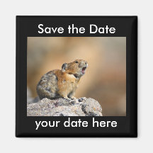 Sauvez l'aimant de date