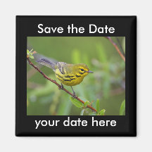 Sauvez l'aimant de date