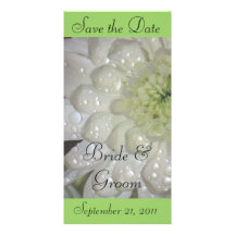Sauvez le carte photo blanc de dahlia de date photocarte