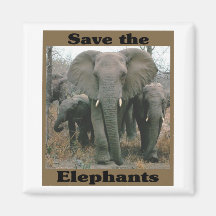 Sauvez les éléphants aimants pour réfrigérateur