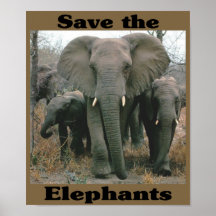 Sauvez les éléphants posters
