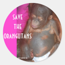 Sauvez les orangs-outans adhésifs