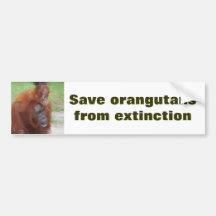 Sauvez les orangs-outans autocollants pour voiture
